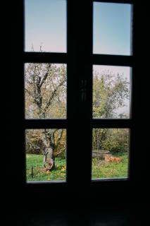 Kuća za odmor Atar - Bartolovci - 2