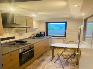 Gorgeous holiday home in Altenfeld Thuringia - Altenfeld - 4