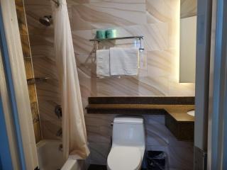 The Essence Hotel at JFK - 5