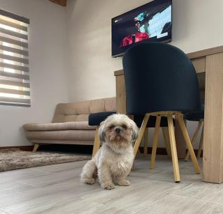 Apartamento PUERTA DE LA VILLA - 6