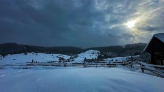 Шепіт Лісу - 3