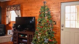 A Beary Cozy Cabin in Hocking Hills - 8