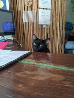 The Green Village Hotel - 9