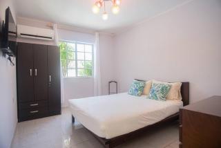 Blue Star Aruba Villa - Palm-Eagle Beach - 1