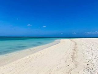 Aruba Breeze Condo A5 - Eagle Beach - 7