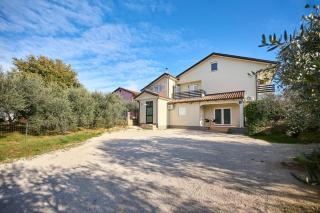 B&B Dia - Murine - 8