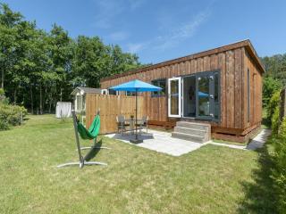 Tranquil holiday home by the beach - De Koog - 9