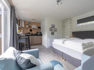 Tranquil holiday home by the beach - De Koog - 1