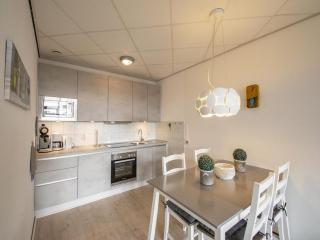 Gorgeous seaside apartment - Julianadorp - 3