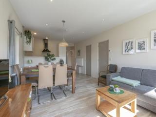 Cozy holiday home near dunes - Sint Maartensvlotbrug - 1