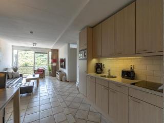 Lovely dunes view apartment - Callantsoog - 1