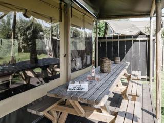 Comfortable lodge with patio - Callantsoog - 9