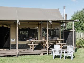 Comfortable lodge with patio - Callantsoog - 8