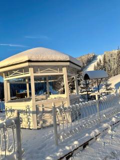 Chevalier Hotel & SPA - Bukovel - 6