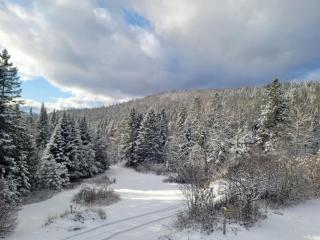 Le Repere Etoile au coeur de la nature - Sainte-Lucie-de-Doncaster - 9
