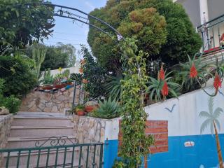 Casa da Avó Bela - Buarcos - 8