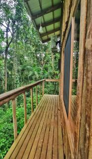 Casa da Árvore - Jussara Cultural - Joinville - 3