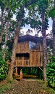 Casa da Árvore - Jussara Cultural - Joinville - 0