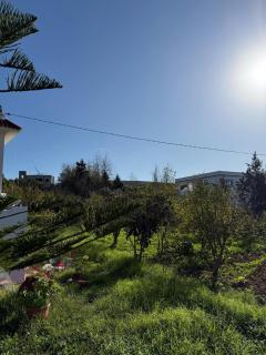 Villa Jade - 3