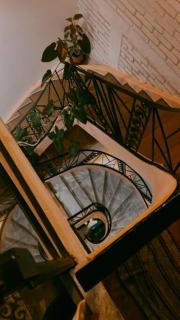Art Oasis in the Heart of Roma - Città del Messico - 6