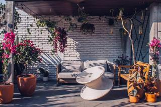 Art Oasis in the Heart of Roma - Città del Messico - 4