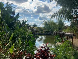 Los lagos del abuelo - Montenegro - 3