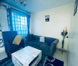 1 bedroom Short & Long term Stay-TRM Drive, Roysambu - Nairobi - 7