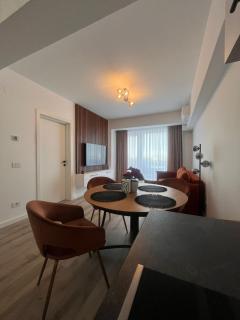 Arena Panoramic Residence - Oradea - 8
