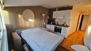 Small, quiet and central studio i Oslo - Oslo - 7