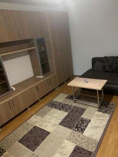 Garsoniera confort delux apartament in Slatina - Slatina - 5