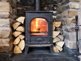 Daffodils - Coanwood - 6