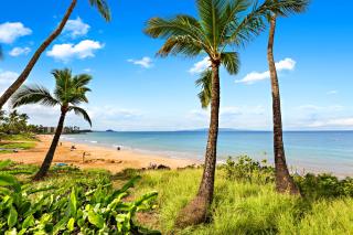 Maui Vista 2314 - Kihei - 8
