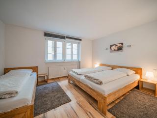 Apartment Gorilla - Hopfgarten im Brixental - 3