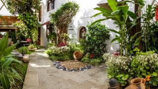 Casa los Cantaros Hotel Boutique - 3