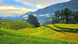 Hà Châu Homestay - Mù Cang Chải - 1