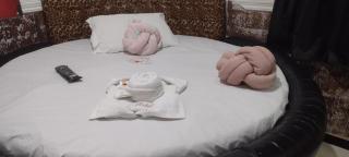 Hotel canal hum samambaia - 6