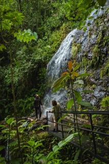 Peaceful rustic cabin steps from town - Jericó - 2
