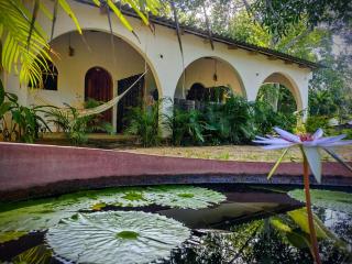 Casa pájaros- Habitación Colibri - Troncones - 6