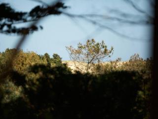 Villa entre lac et océan avec spa, jardin et air conditionné à Hossegor - FR-1-791-26 - Soorts-Hossegor - 5