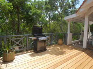 Villa entre lac et océan avec spa, jardin et air conditionné à Hossegor - FR-1-791-26 - Soorts-Hossegor - 4