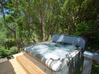 Villa entre lac et océan avec spa, jardin et air conditionné à Hossegor - FR-1-791-26 - Soorts-Hossegor - 3