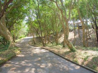 Villa entre lac et océan avec spa, jardin et air conditionné à Hossegor - FR-1-791-26 - Soorts-Hossegor - 2