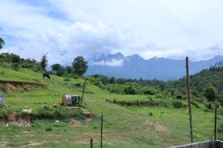 Iyer Square - Attappādi - 2