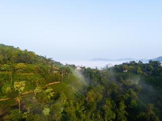 The East Bethany Vagamon - Vagamon - 4
