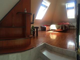 Apartment Simba - Studio Apartment ST - Supetar - 1
