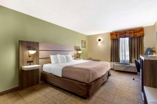 Quality Inn Raleigh Downtown - Raleigh - 4