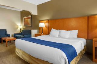 Comfort Suites Auburn Hills-Detroit - Auburn Hills - 3