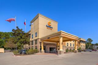 Comfort Suites Old Town Spring - 9