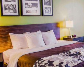 Sleep Inn & Suites Virginia Horse Center - Lexington - 2
