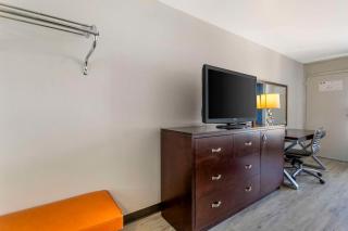 Rodeway Inn - Orange Park - 5